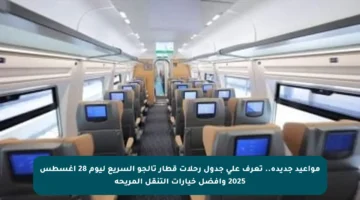 مواعيد جديدة.. تعرف على جدول رحلات قطار تالجو السريع ليوم 28 أغسطس 2025 وأفضل خيارات التنقل المريحة